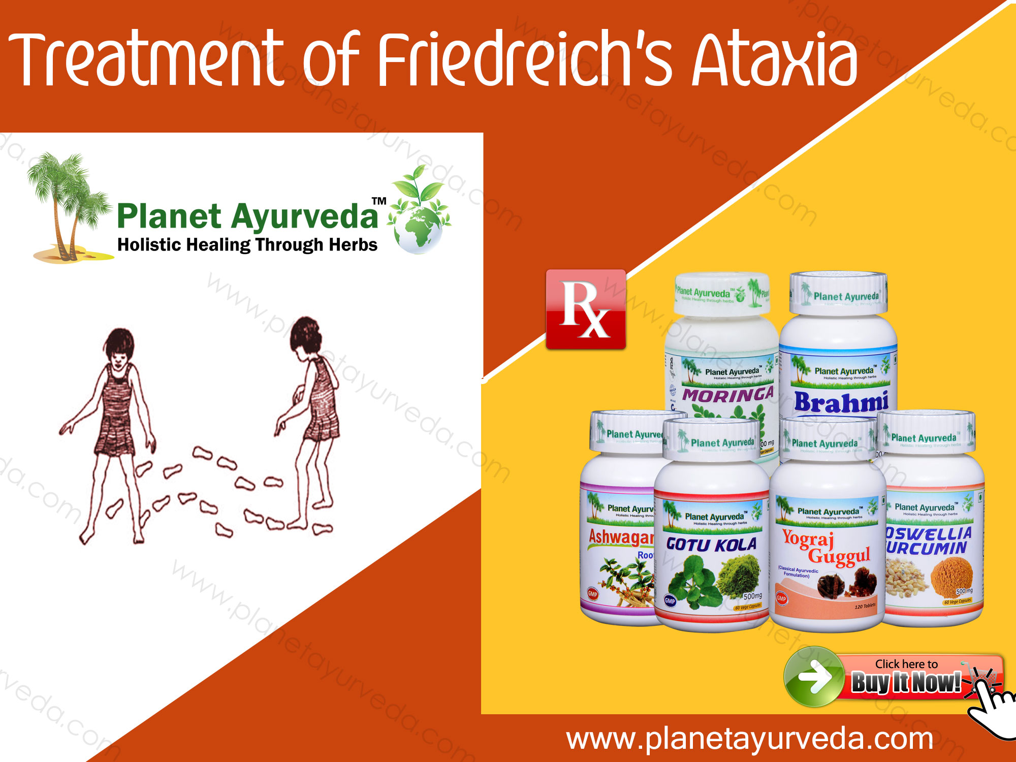 Treatment-of-Friedreich's-Ataxia-