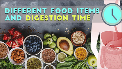 Digestion of different food items