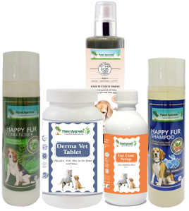 Herbal Remedies For Dogs By Planet Ayurveda