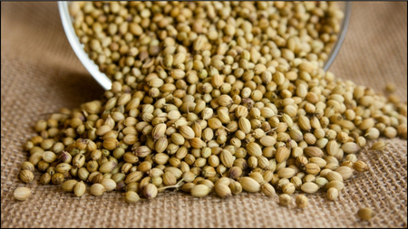 Coriander Seeds