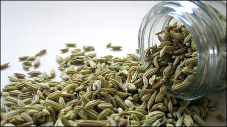 Fennel Seeds