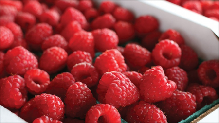 Red Raspberry