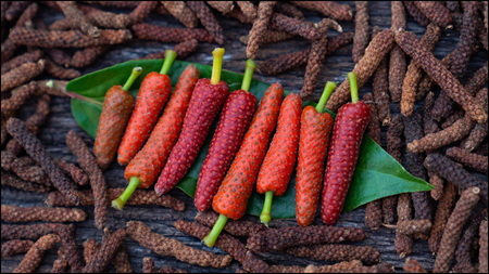 Long Pepper