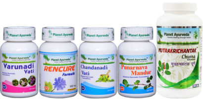 Herbal Remedies For Kidney Diseases By Planet Ayurveda